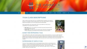 The Hammock Yoga